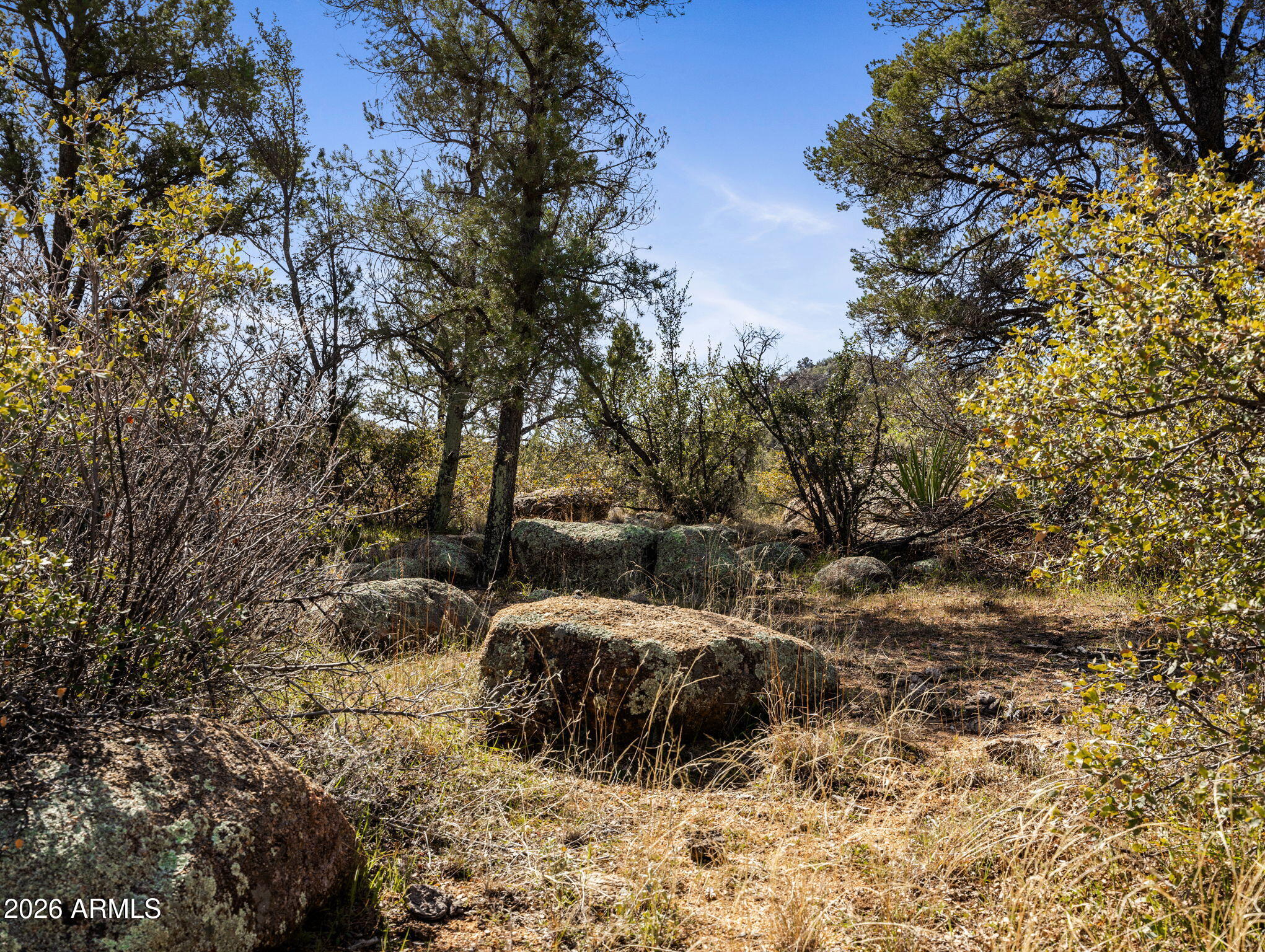 RUGER RANCH PHASE 3 UNIT 1 - Land