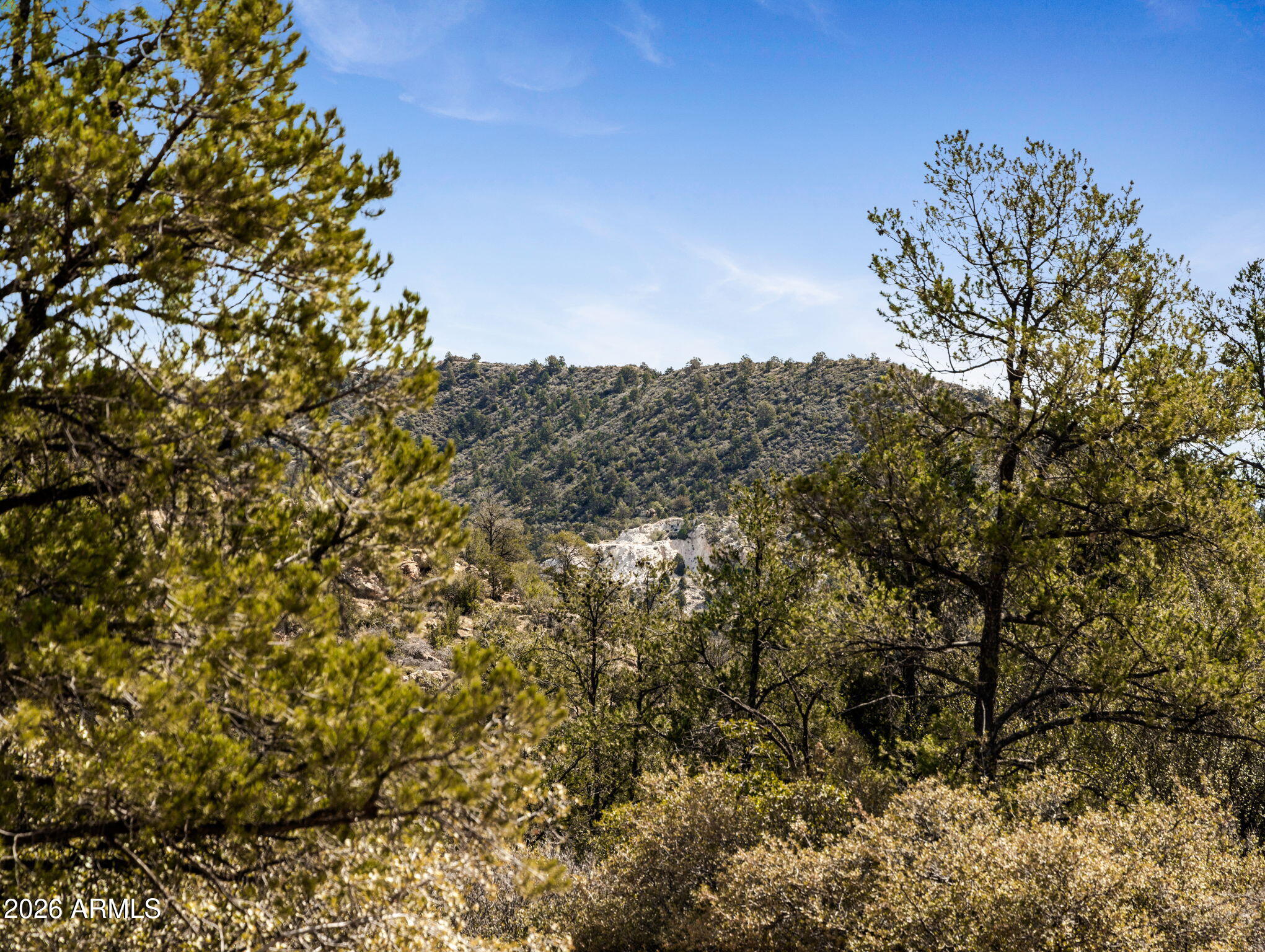 RUGER RANCH PHASE 3 UNIT 1 - Land