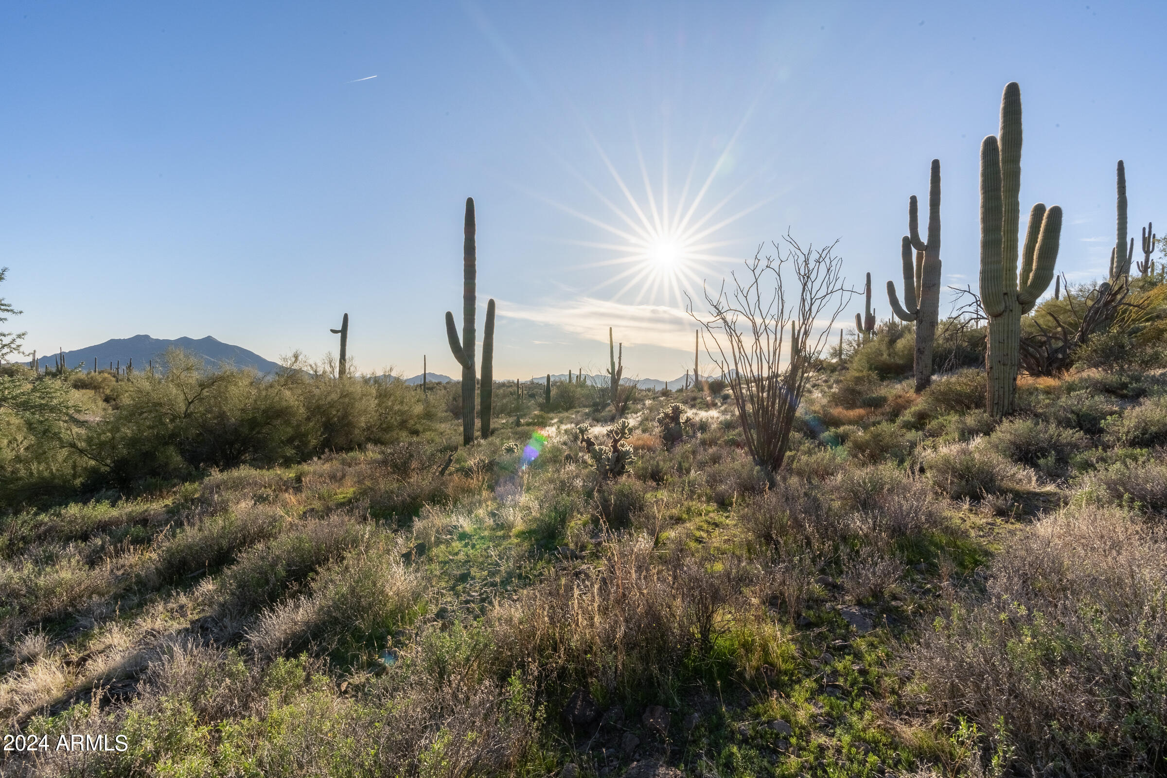 CONTINENTAL MOUNTAIN ESTATES - Land