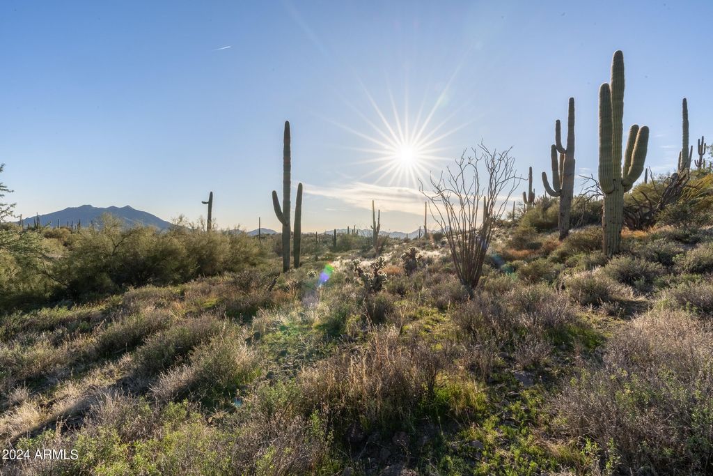 Photo of 7344 E Continental Mtn Ests Drive #1, Cave Creek, AZ 85331 (MLS # 6667952)