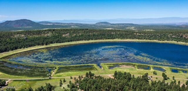 000000 Ponderosa Drive 135, 136