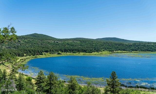 000000 Ponderosa Drive 135, 136