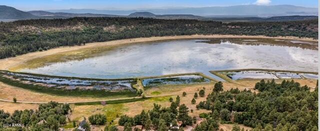 000000 Ponderosa Drive 135, 136