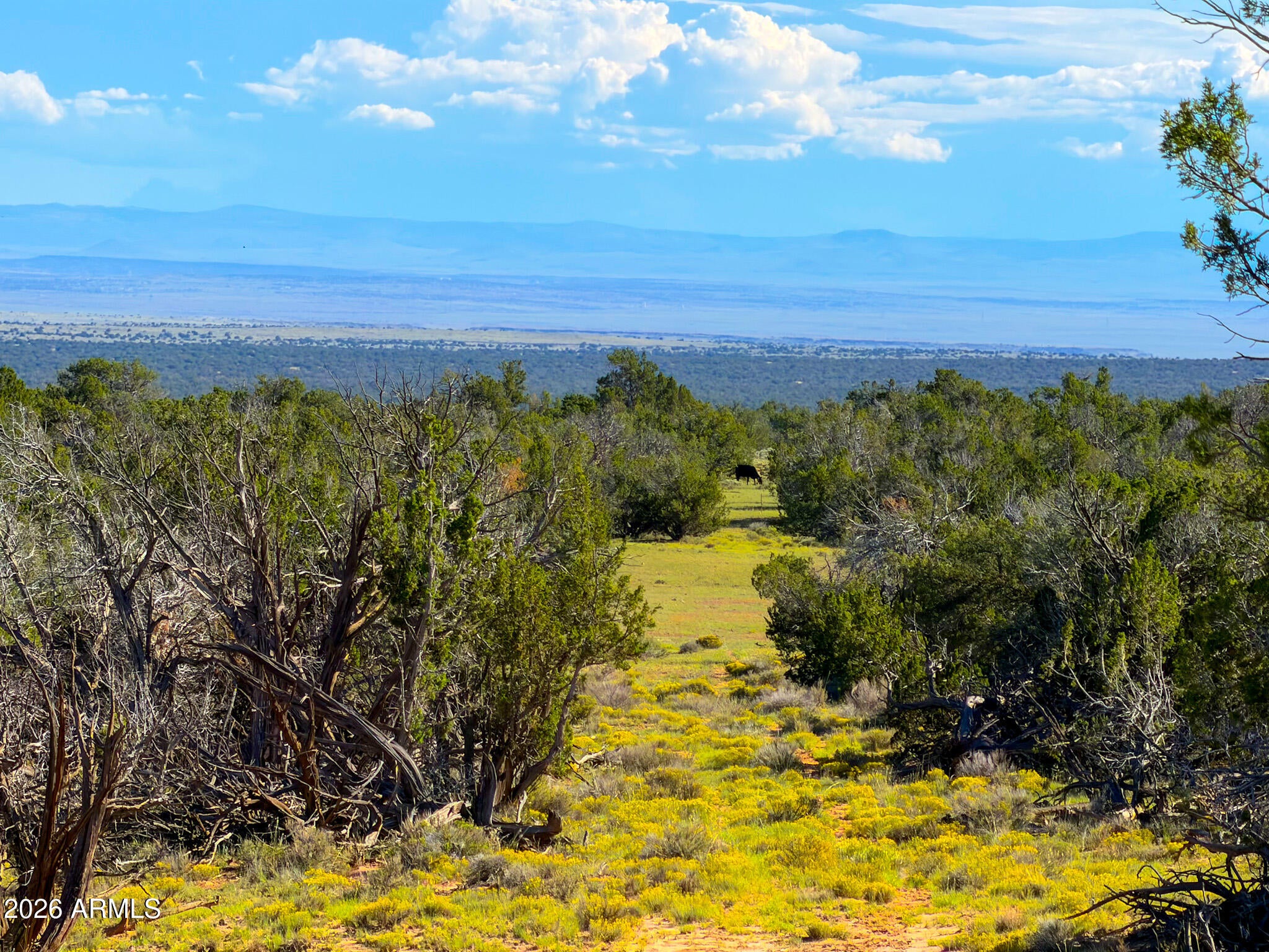 TBD Co Rd N7480 40 Acres -- -