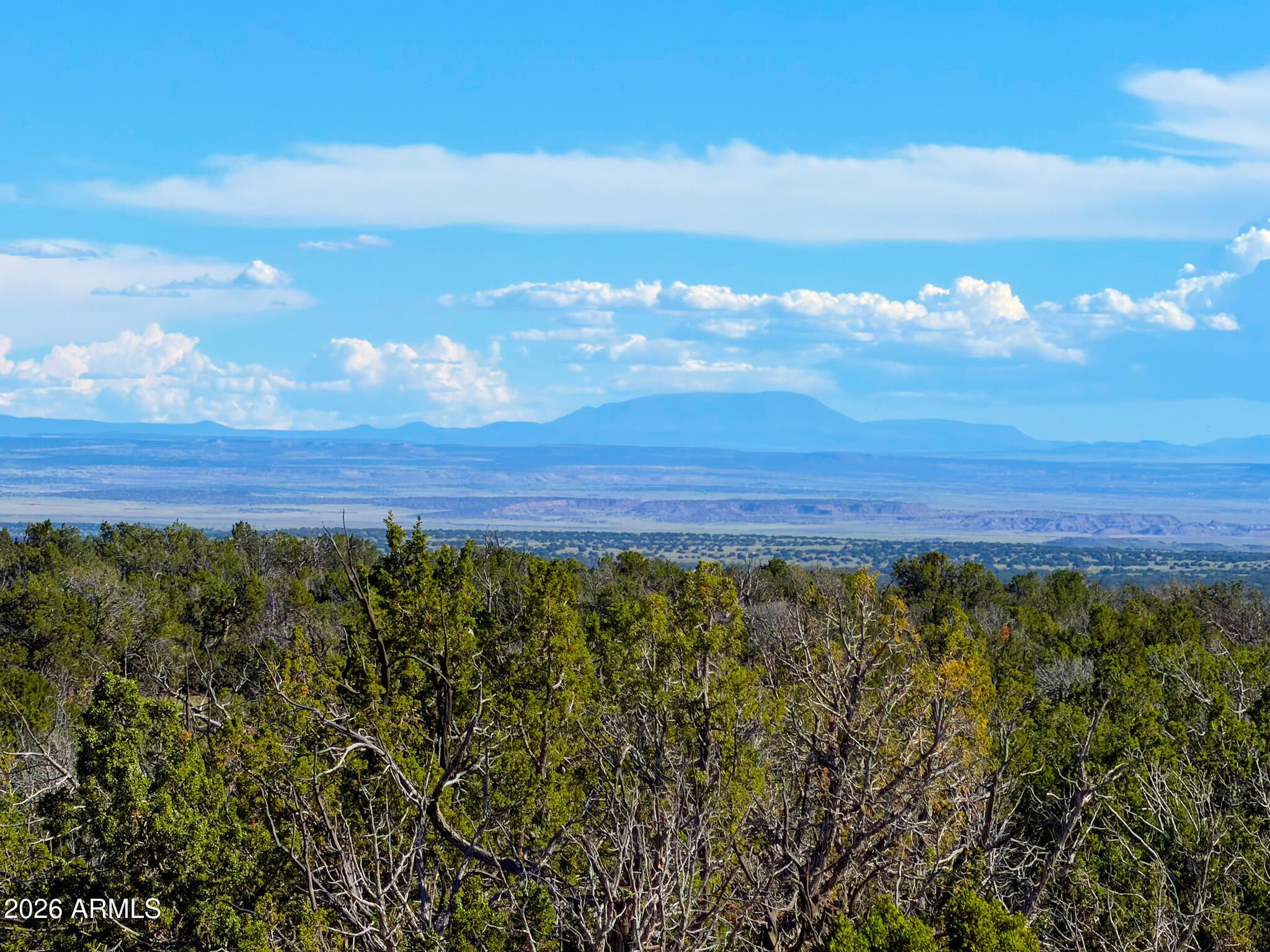 TBD Co Rd N7480 40 Acres -- -