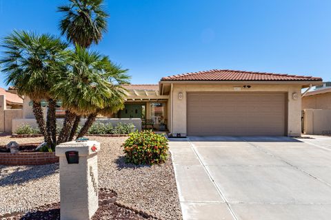 26031 S EASTLAKE Drive Sun Lakes AZ 85248
