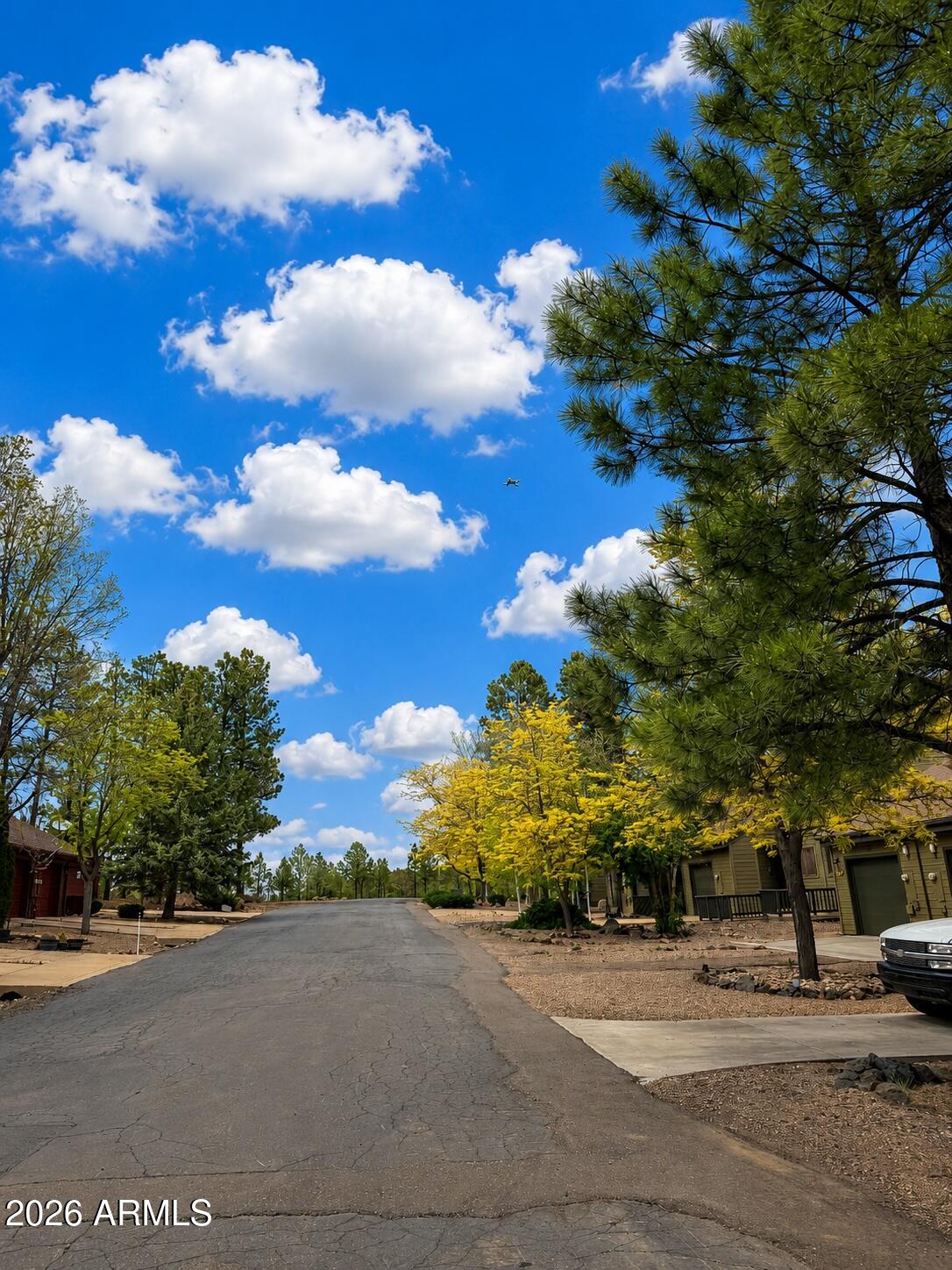 PINE LAKE MEADOWS - Residential