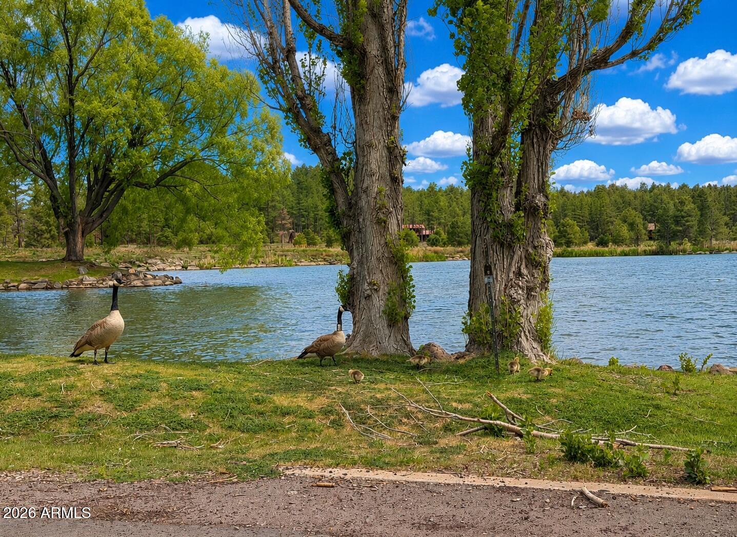 PINE LAKE MEADOWS - Residential