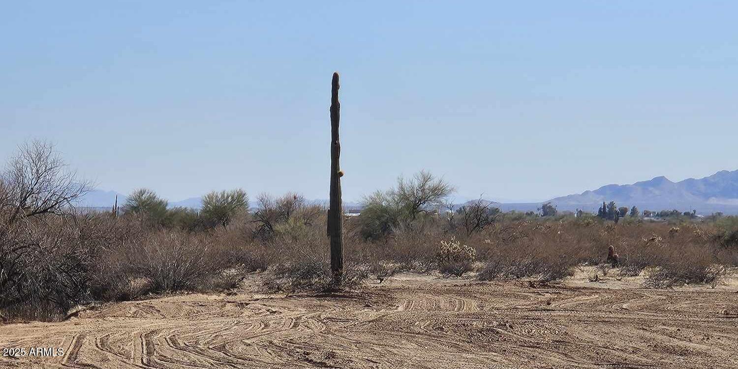 216X0 W Galvin Street 1