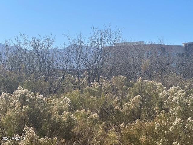 MESA VERDE ESTATES - Land