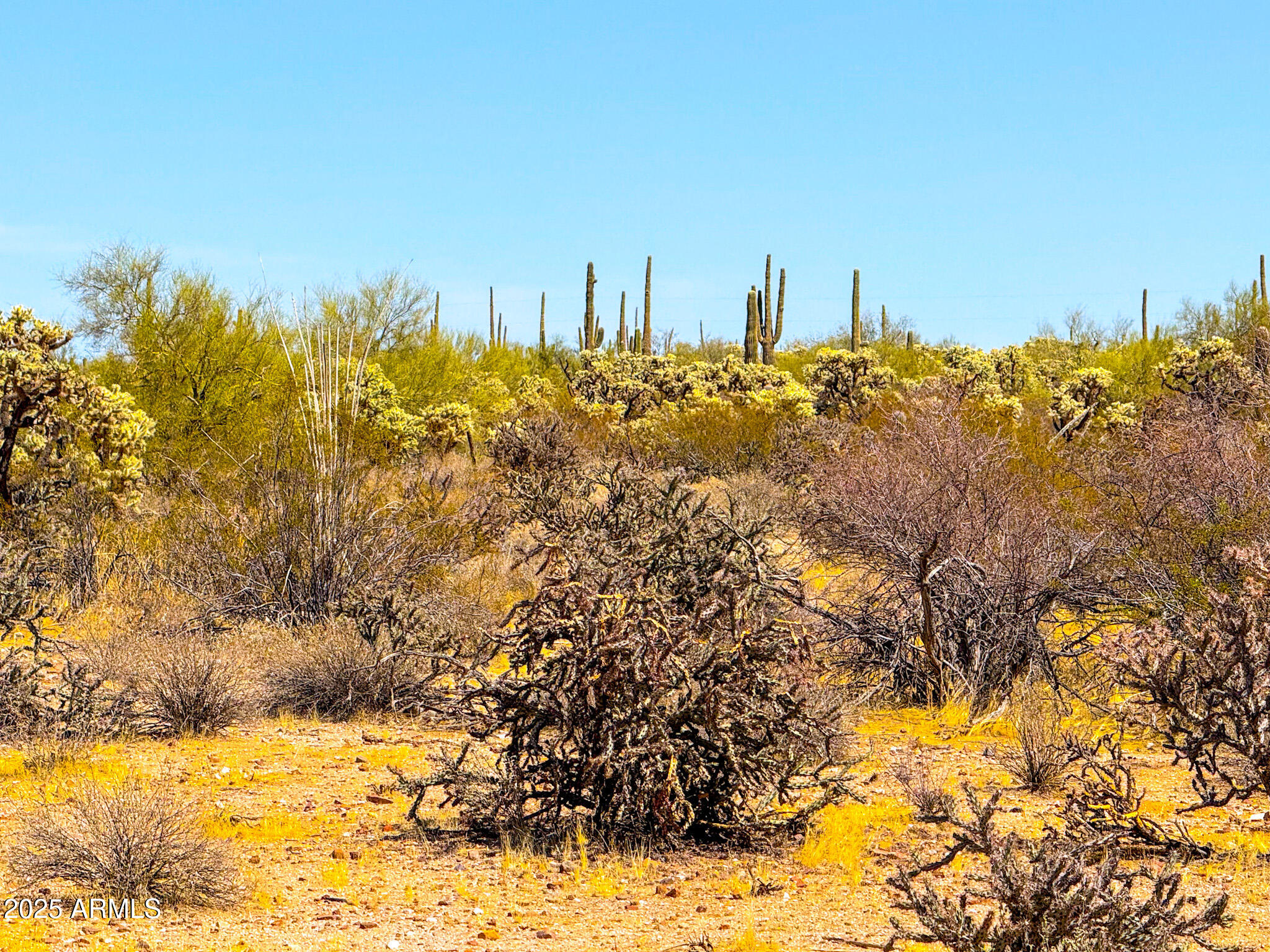 0 N HOHOKAM RD. 8.51 ACRES LOT 1 -- -