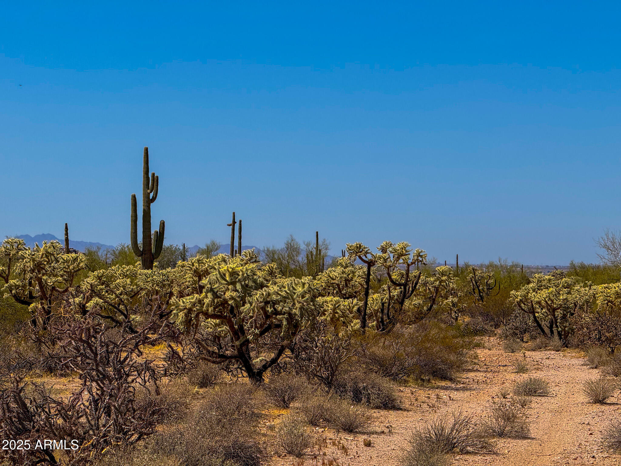 0 N HOHOKAM RD. 8.51 ACRES LOT 1 -- -