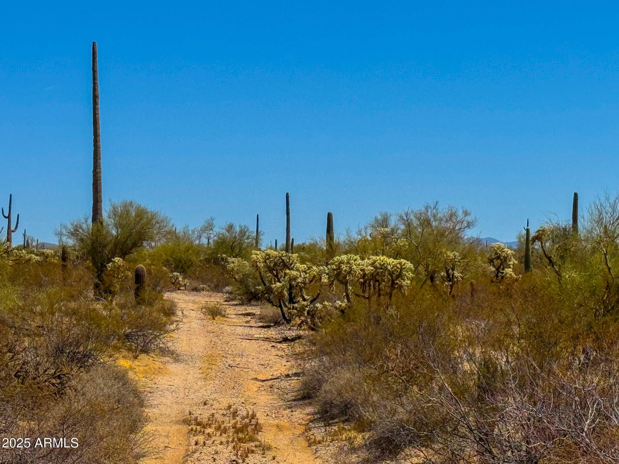 0 N HOHOKAM RD. 8.51 ACRES LOT 1 -- -