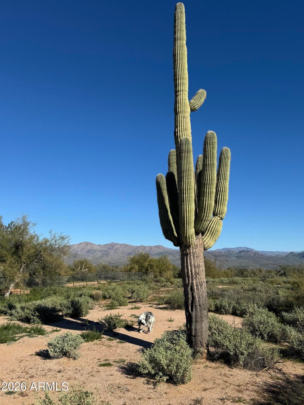 Photo of 0 N 172nd Street #0, Rio Verde, AZ 85263 (MLS # 6969054)