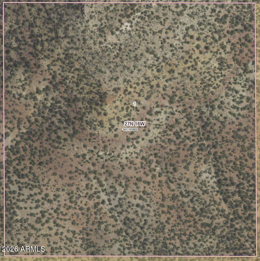 XX Music Ranch Road -