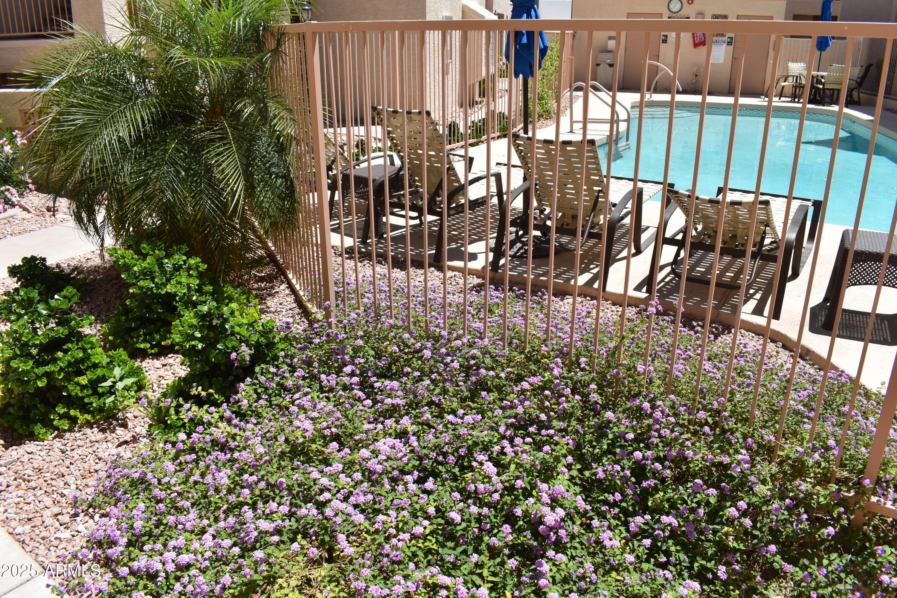 Search Homes 3 16631 E El Lago Boulevard 212