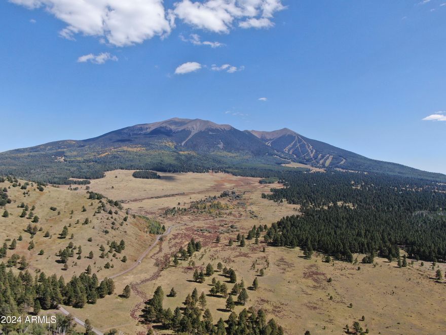 A rare opportunity, LIVING THE DREAM on 11.31 acres of pristine lane adjacent to National Forest Service with mature old growth Ponderosa Pine Trees and meadow vegetation with 360-degree sensational views of the San Francisco Peaks, Fern Mountain and National Forest Service lands. This off-the-grid acreage has strong cell service, dedicated common access easement, numerous excellent building sites with dense Ponderosa Pines or on the meadow edge - boundless potential. This level property is located in an area of very limited private parcels with full time and seasonal residence. Enjoy the 4-seasons, environment rich with wildlife, beauty, serenity and tranquil ambiance from your back yard and adventures into the adjacent Forest Service. Owner may carry with acceptable terms.