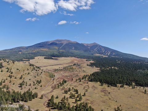002 Hart Prairie Rd -- - Flagstaff AZ 86001
