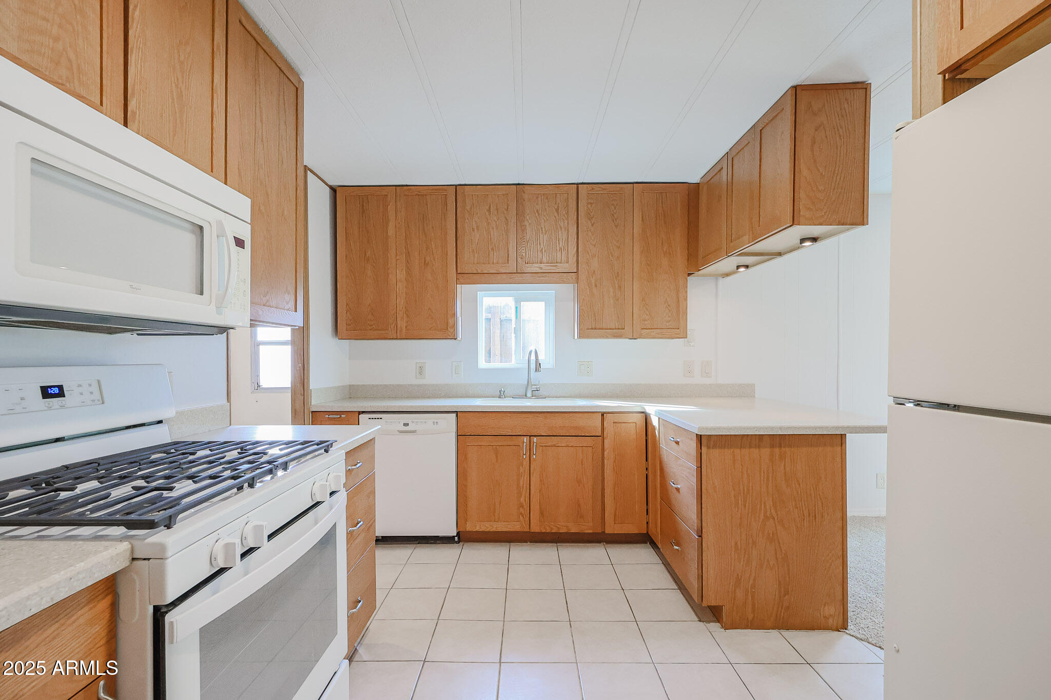 10951 N 91st Avenue 61