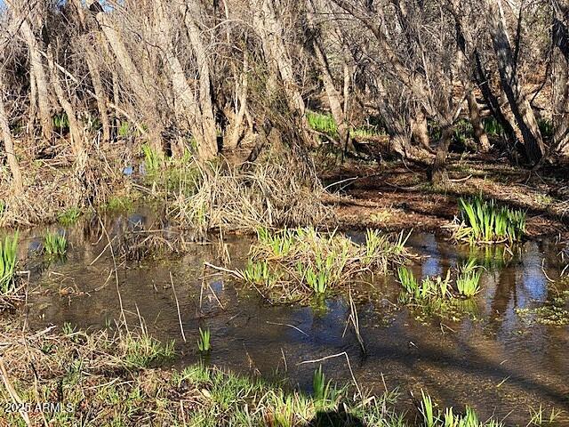 TONTO CREEK SHORES - Land