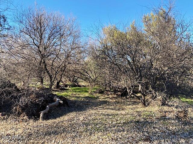 0 S Tonto Creek Drive 391