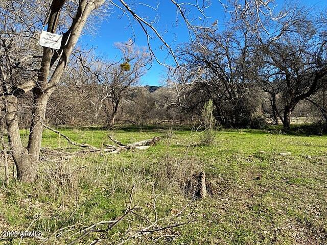 TONTO CREEK SHORES - Land
