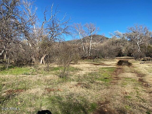 0 S Tonto Creek Drive 391