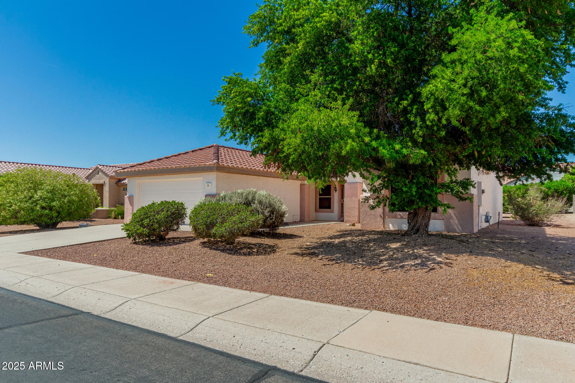 20024 N PAINTED SKY Drive