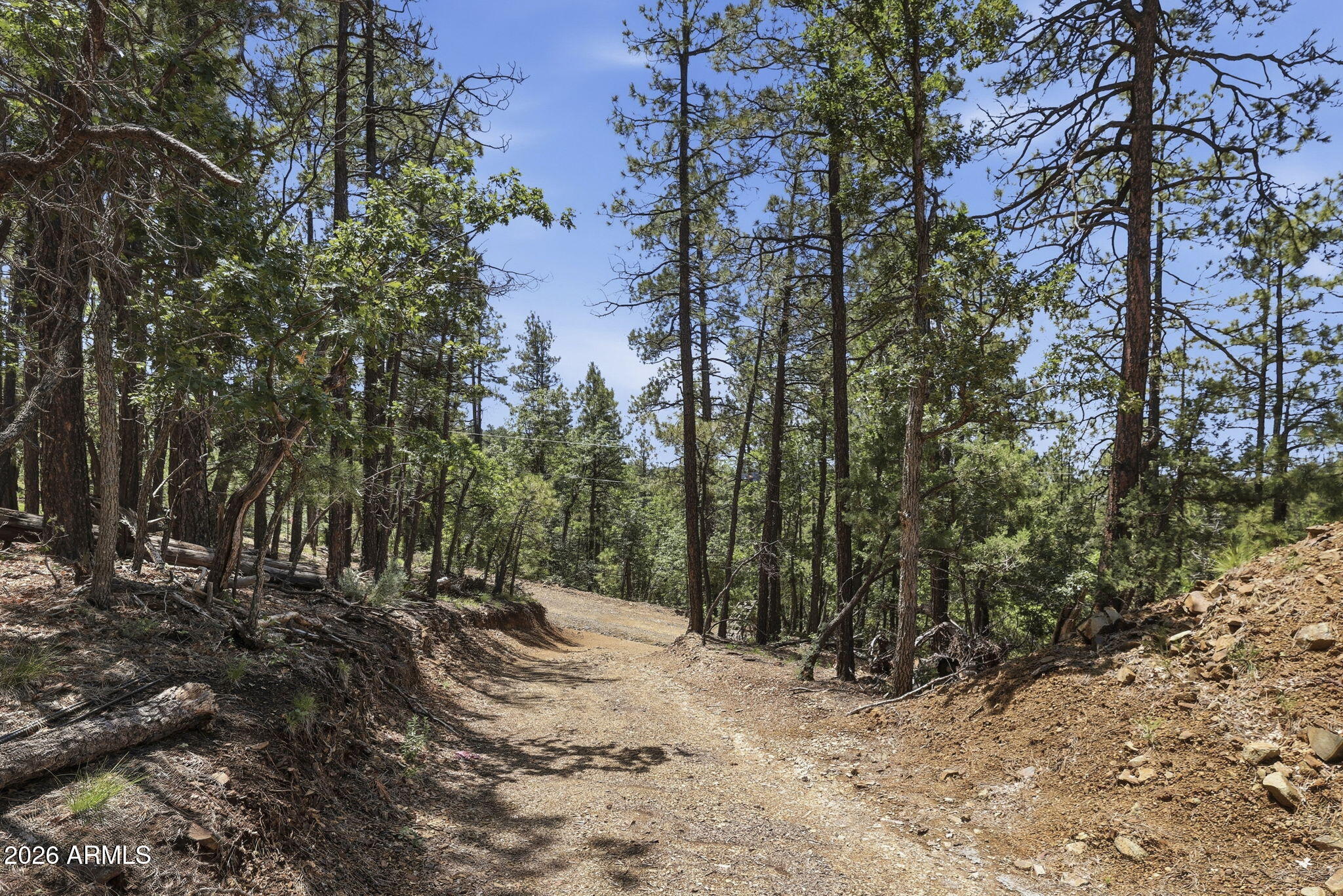 4696 S JACK PINE Road 17