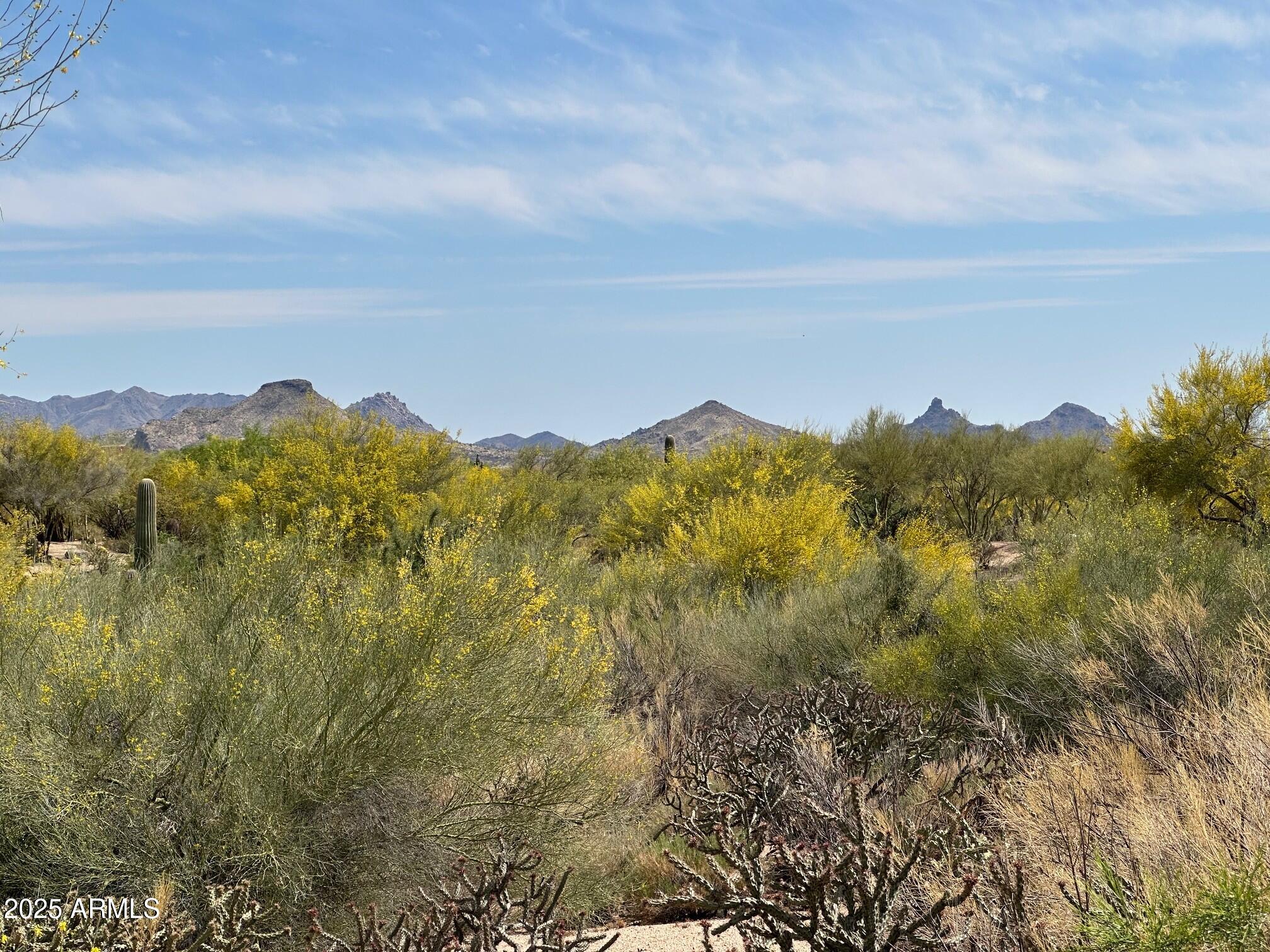 37353 N 105TH Place 81