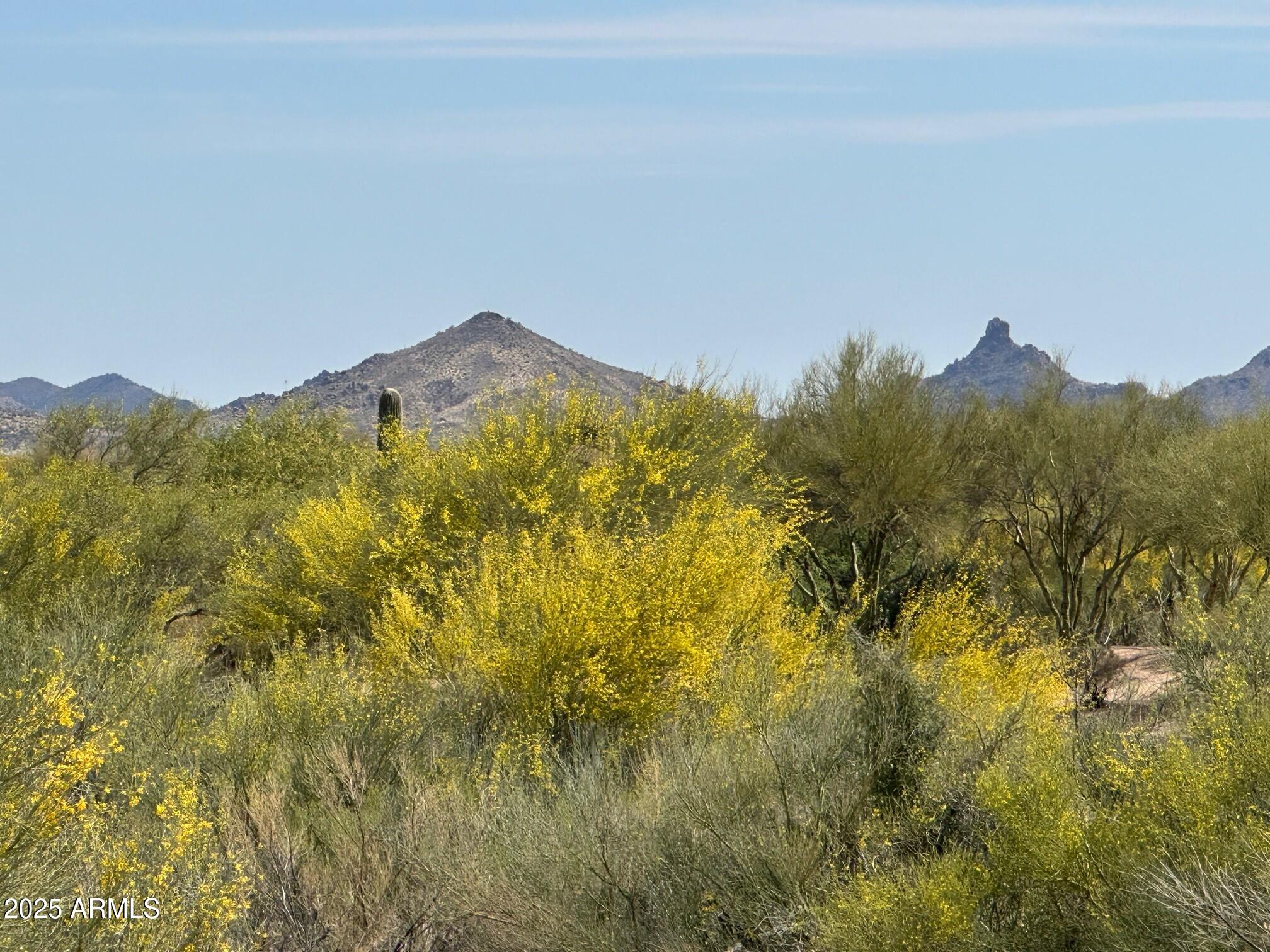 37353 N 105TH Place 81