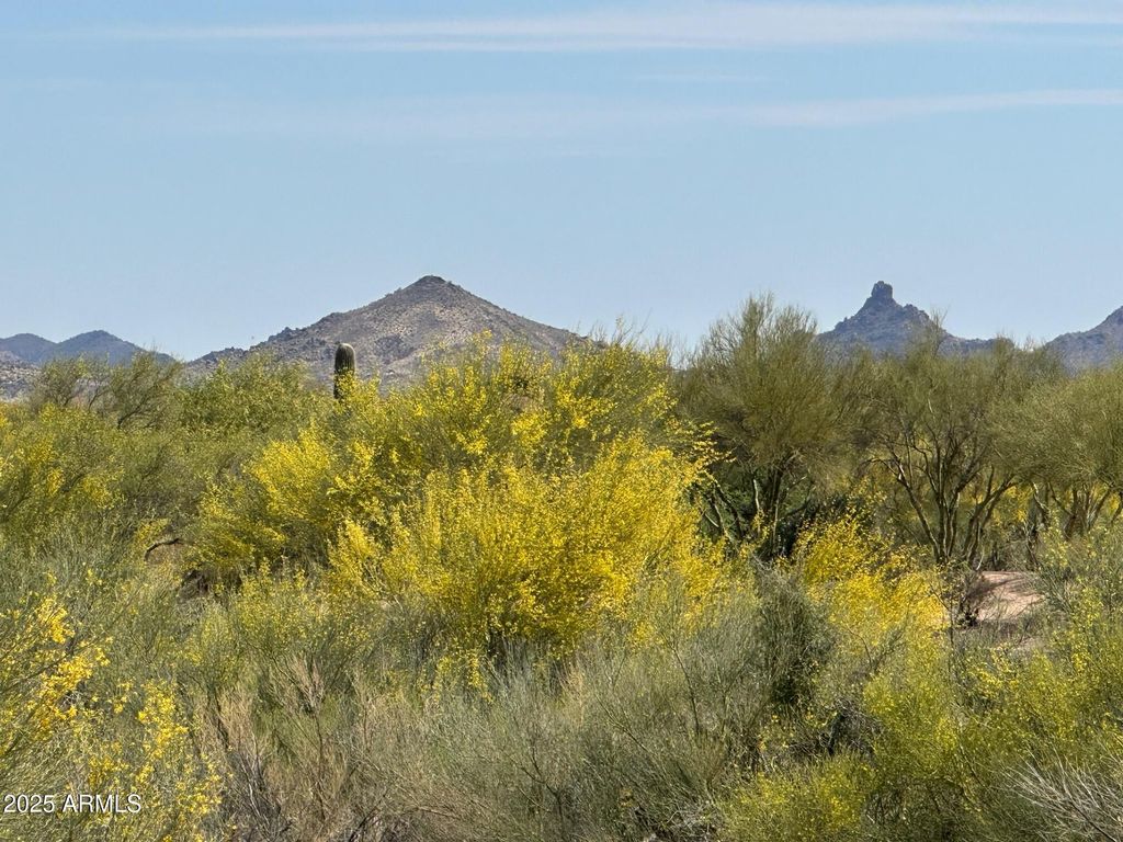 Photo of 37353 N 105th Place #81, Scottsdale, AZ 85262 (MLS # 6981591)