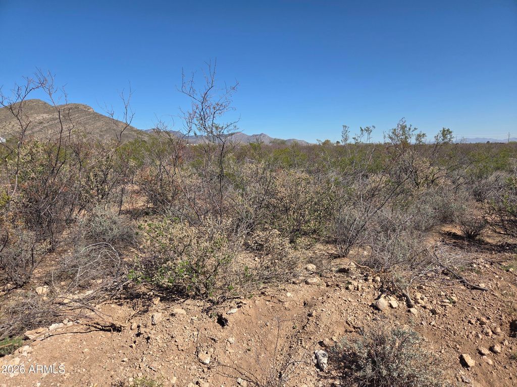 Photo of Tbd W Carlson Canyon Drive #3, Whetstone, AZ 85616 (MLS # 7002701)