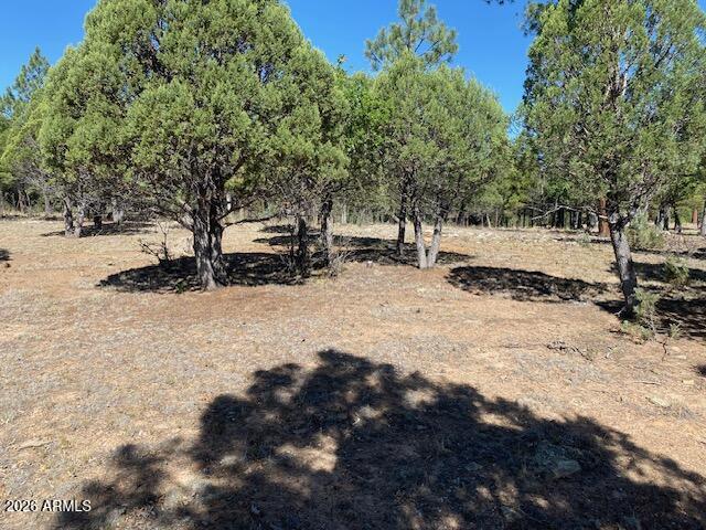 4214 JUNIPER Drive 46