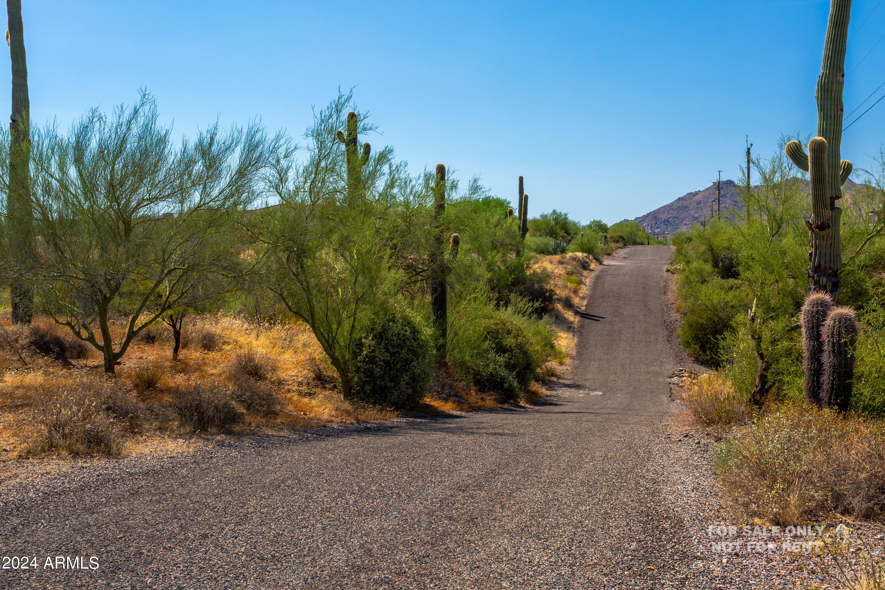 40777 N ECHO CANYON Drive