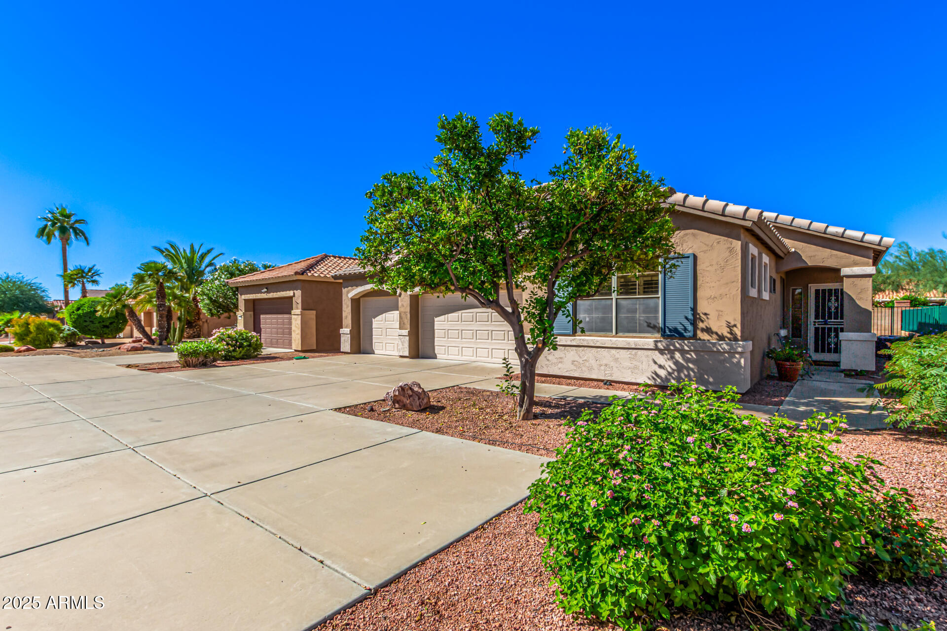 18562 N ALAMO Drive
