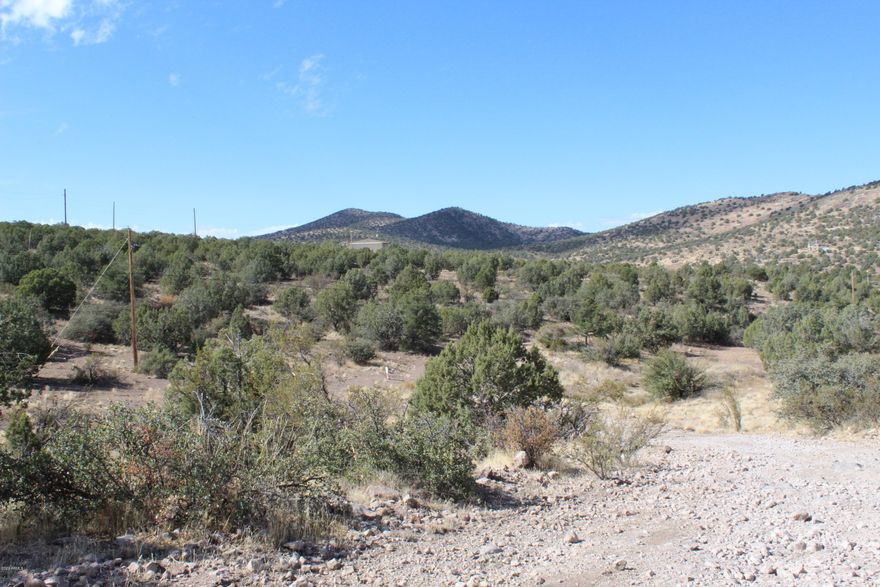 BUILD YOUR OWN CUSTOM HOME ON THIS AMAZING LOT!  OR SPLIT INTO 3 AND BUILD 3 HOMES (survey is completed, but not recorded). The natural terrain and privacy is superb on this large lot. See survey picture on this listing. Priced to sell fast!