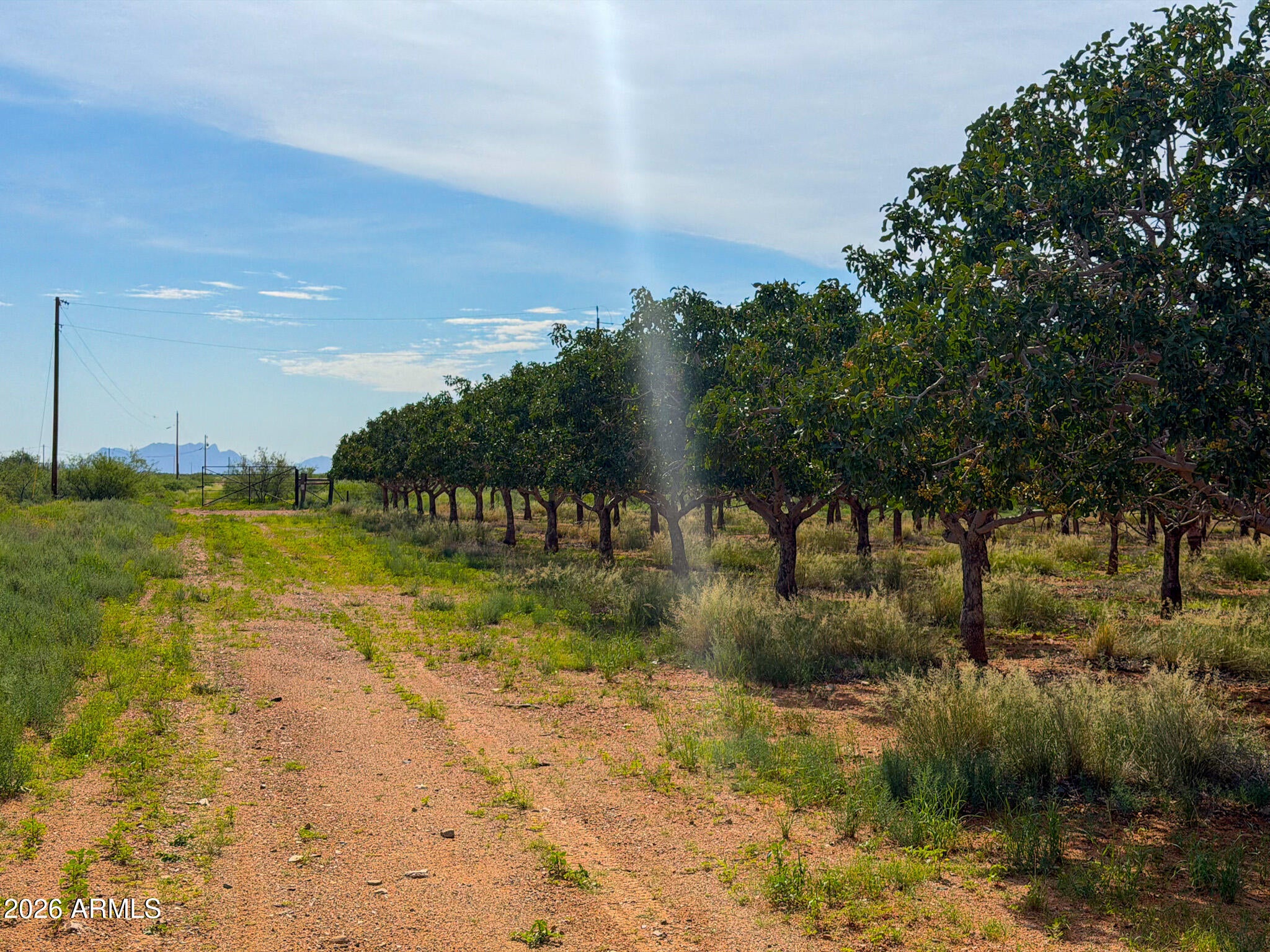 0 E Phillips Rd 40 Acres -- -
