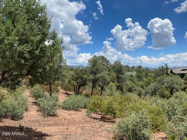 CHAPARRAL PINES PHASE 1 - Land