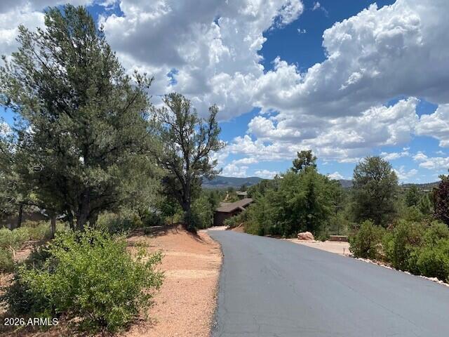 CHAPARRAL PINES PHASE 1 - Land