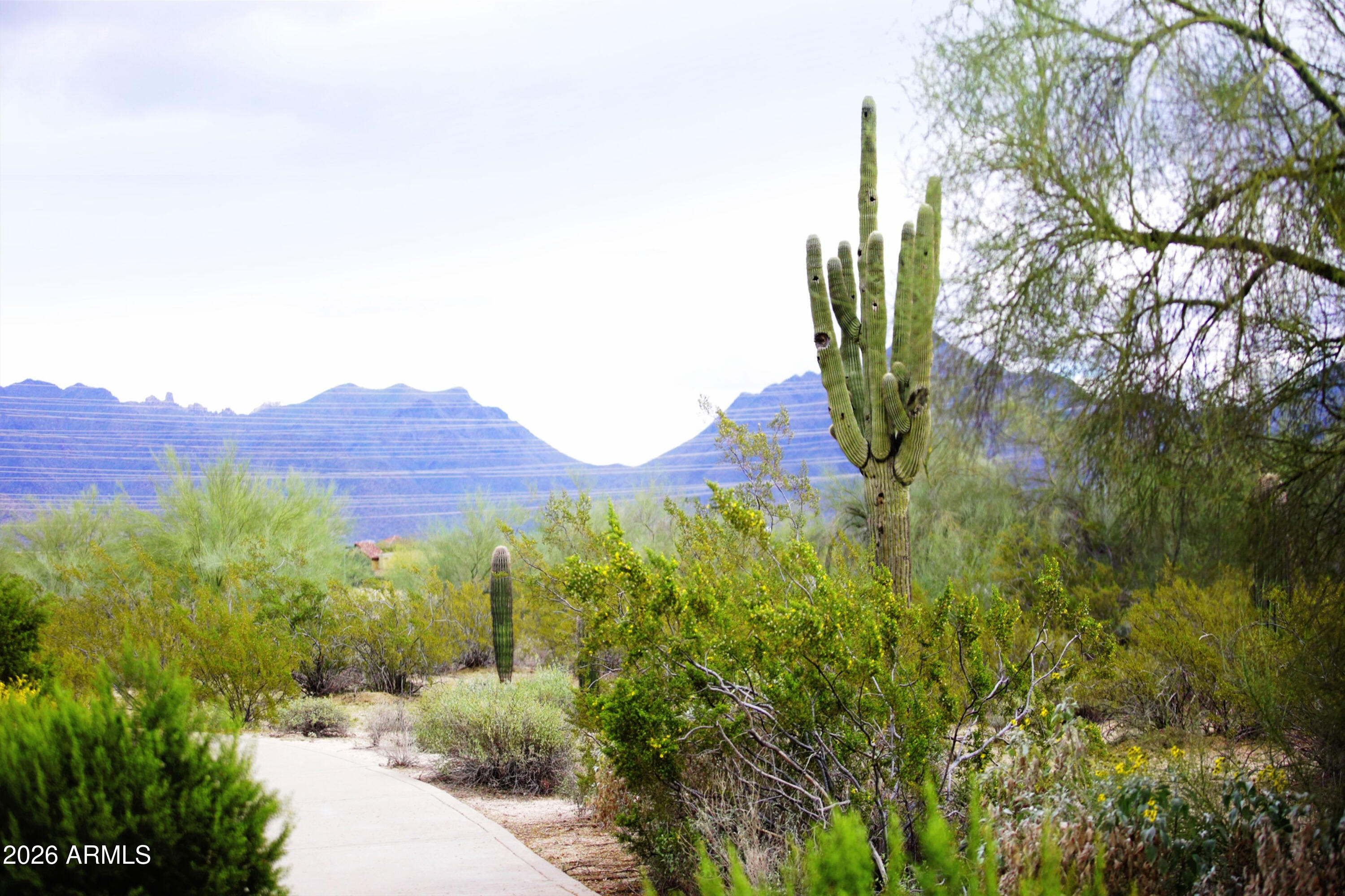 EDGE AT GRAYHAWK CONDOMINIUM - Residential
