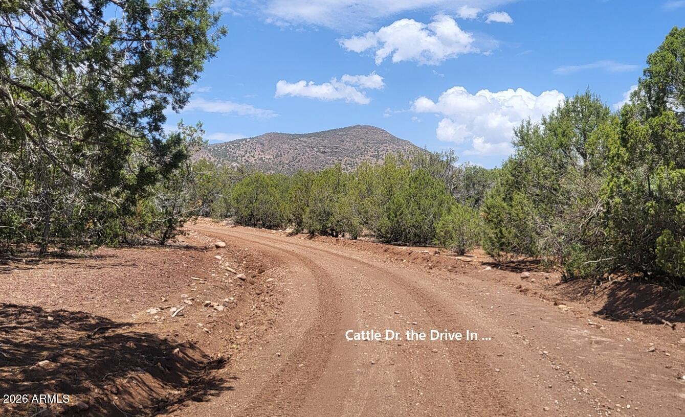 160B Cattle Drive 160