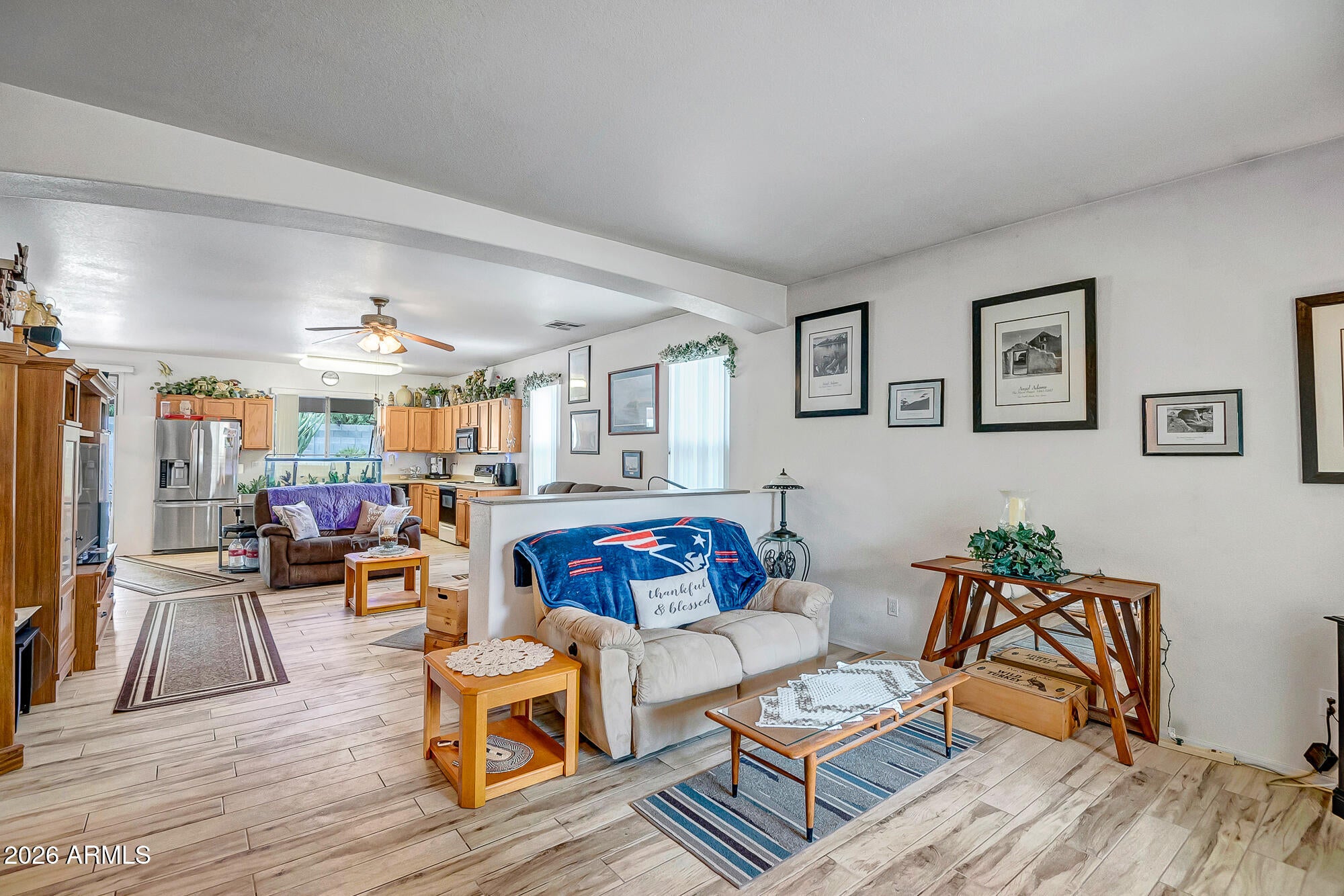 2945 W GOLDMINE MOUNTAIN Drive