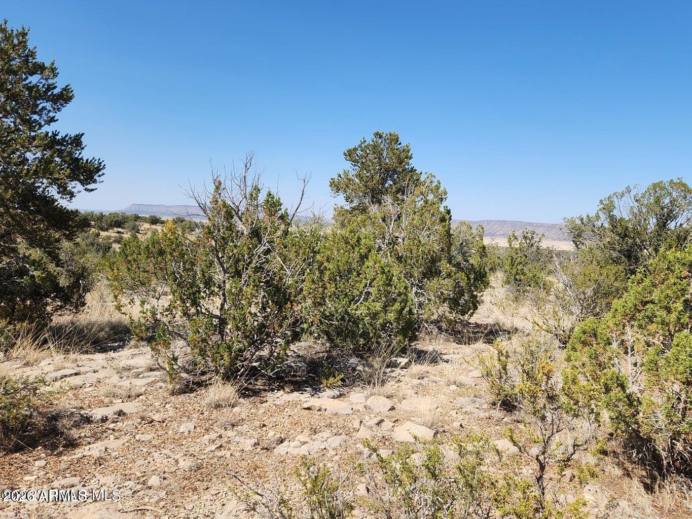 25753 W ELDORADO Drive 200