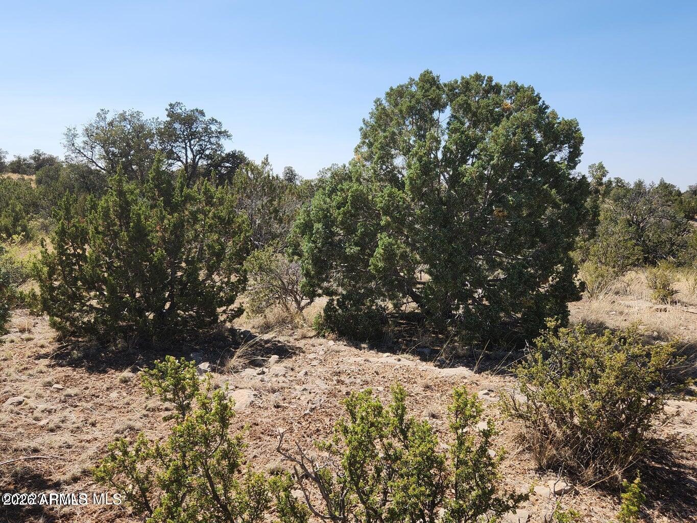 25753 W ELDORADO Drive 200