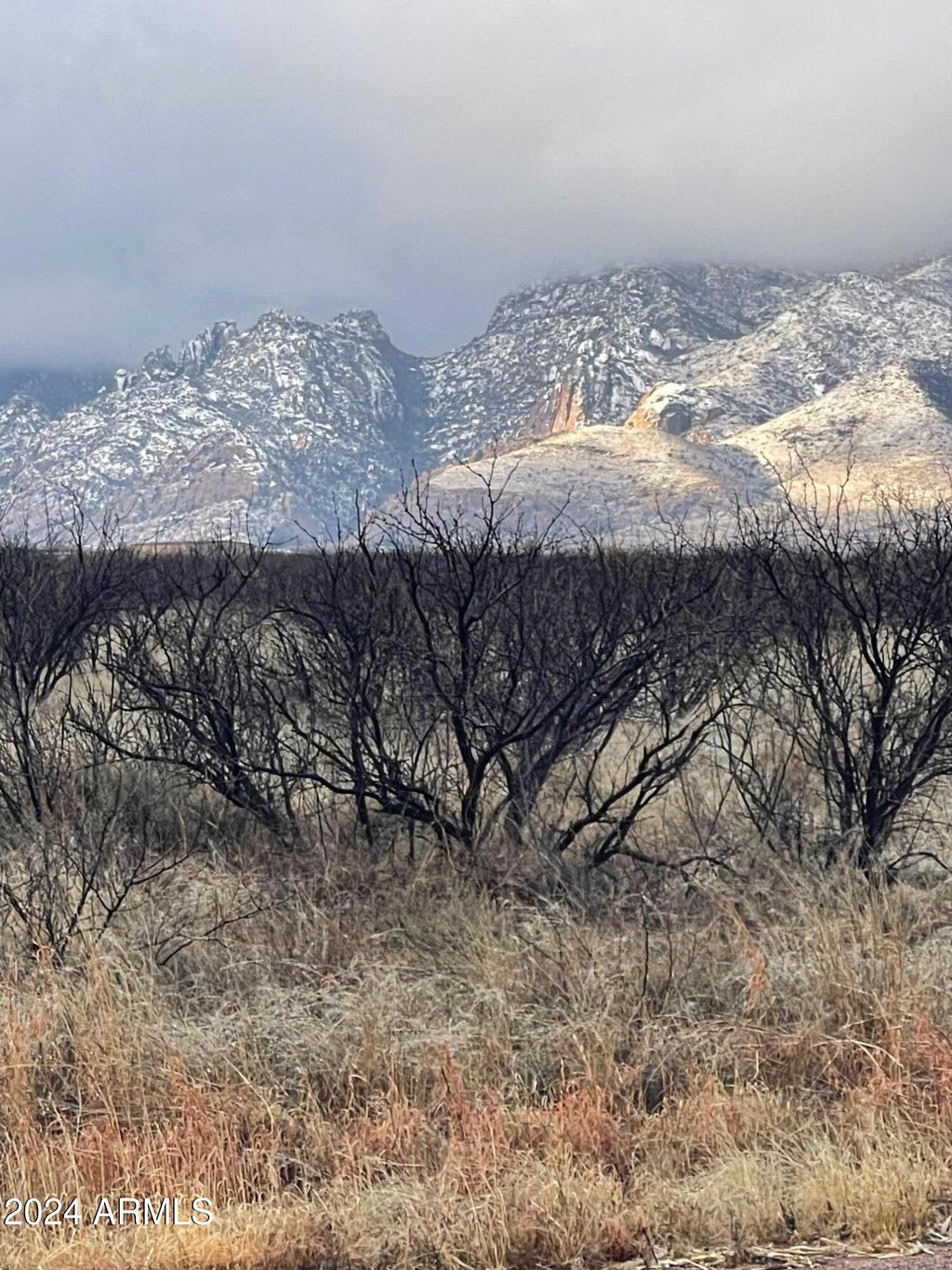 Photo of 1293 W Doe Ranch Rd Road #58, Pearce, AZ 85625 (MLS # 7095170)