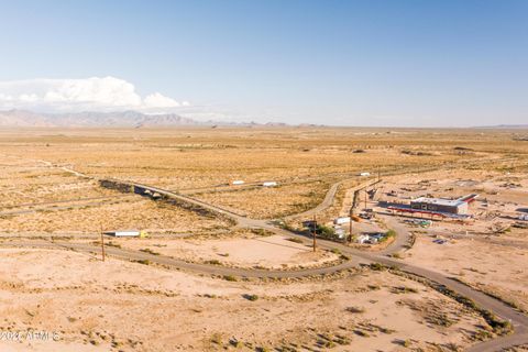 10800 S Double R Drive 32208-32 Golden Valley AZ 86413