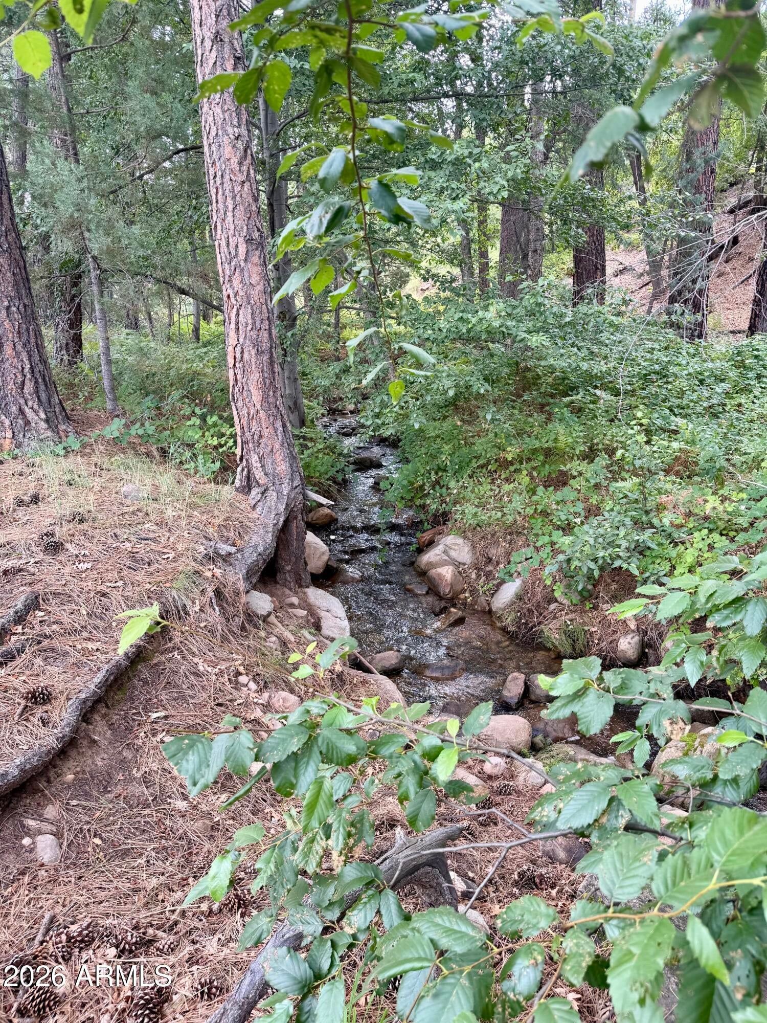 165 W BURNT POINT Trail 1