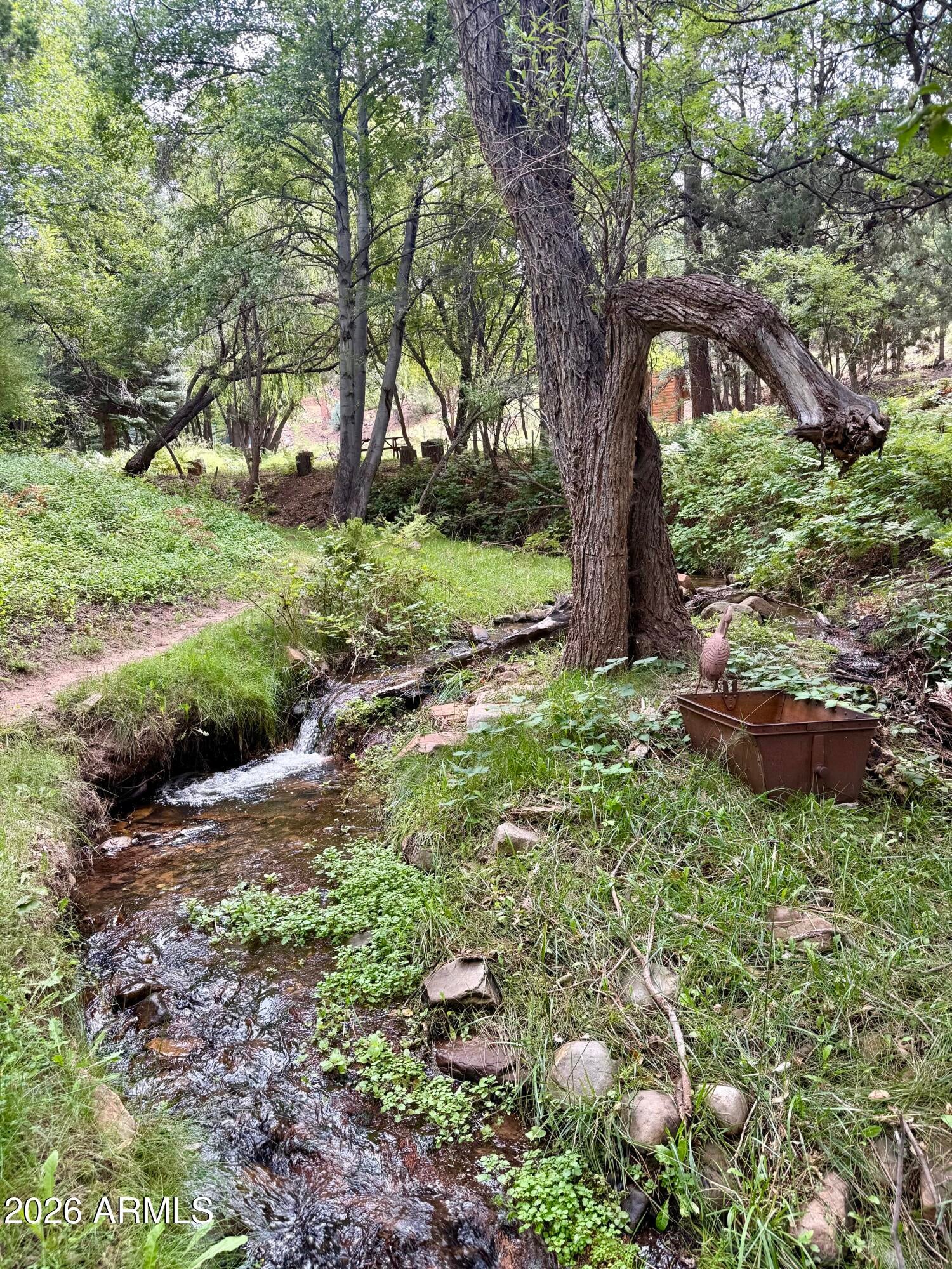 165 W BURNT POINT Trail 1