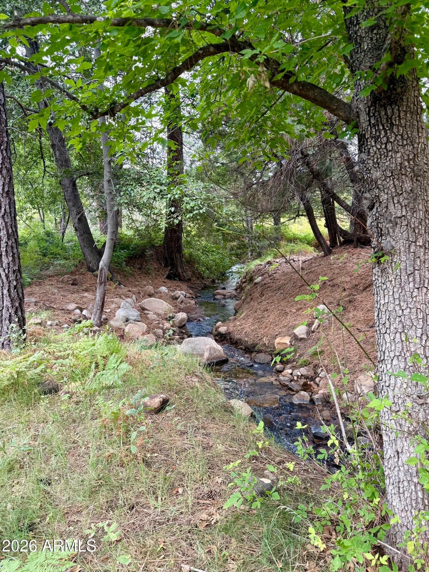 165 W BURNT POINT Trail 1